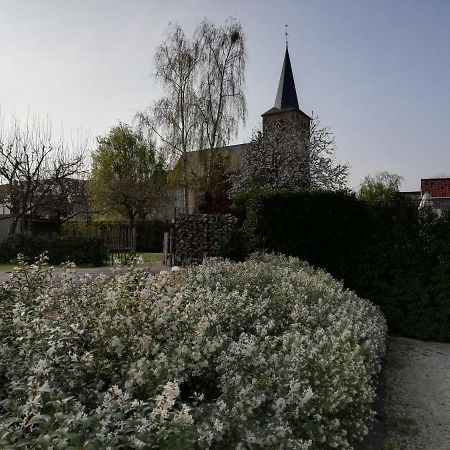 B&B 'T Huys Van Enaeme Ауденарде Екстер'єр фото